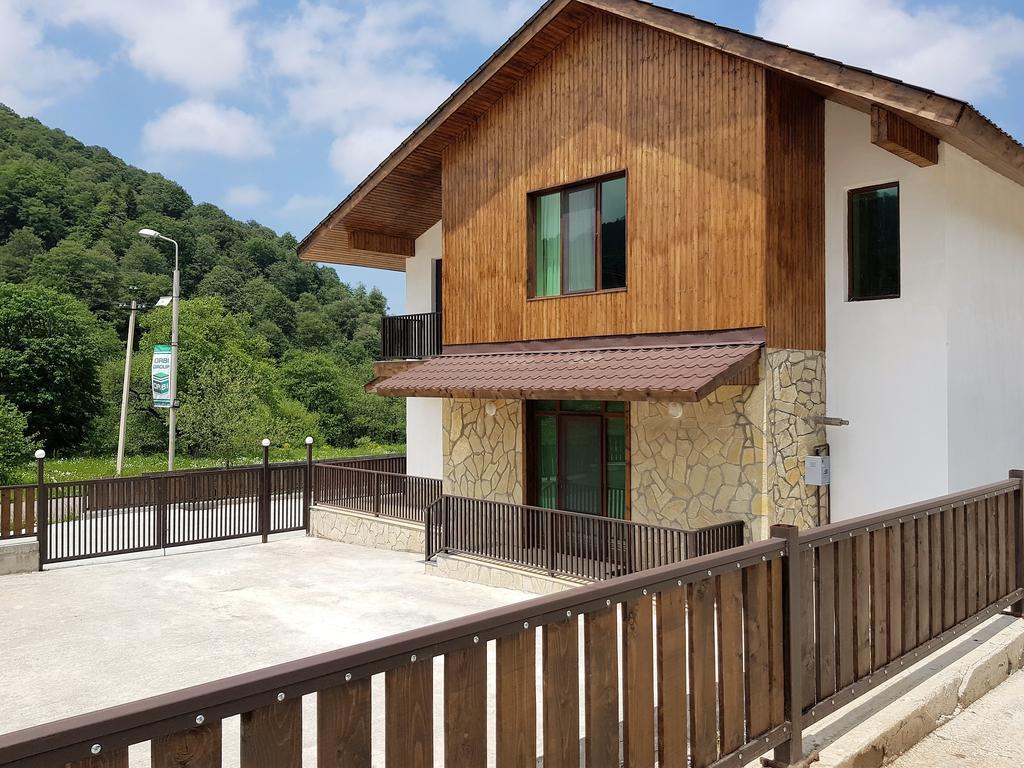 הוילה באקוריאני Crystal Town House מראה חיצוני תמונה